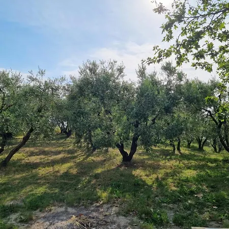 Casale San Francesco *